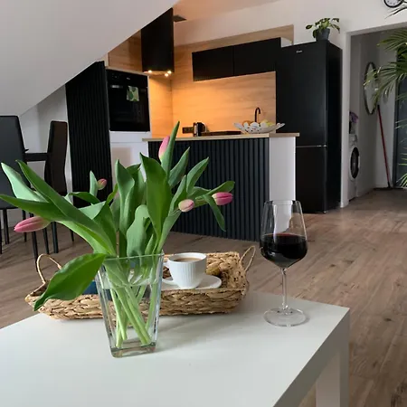 Apartamenty Astor - Sloneczny Bad Salzbrunn Exterior foto