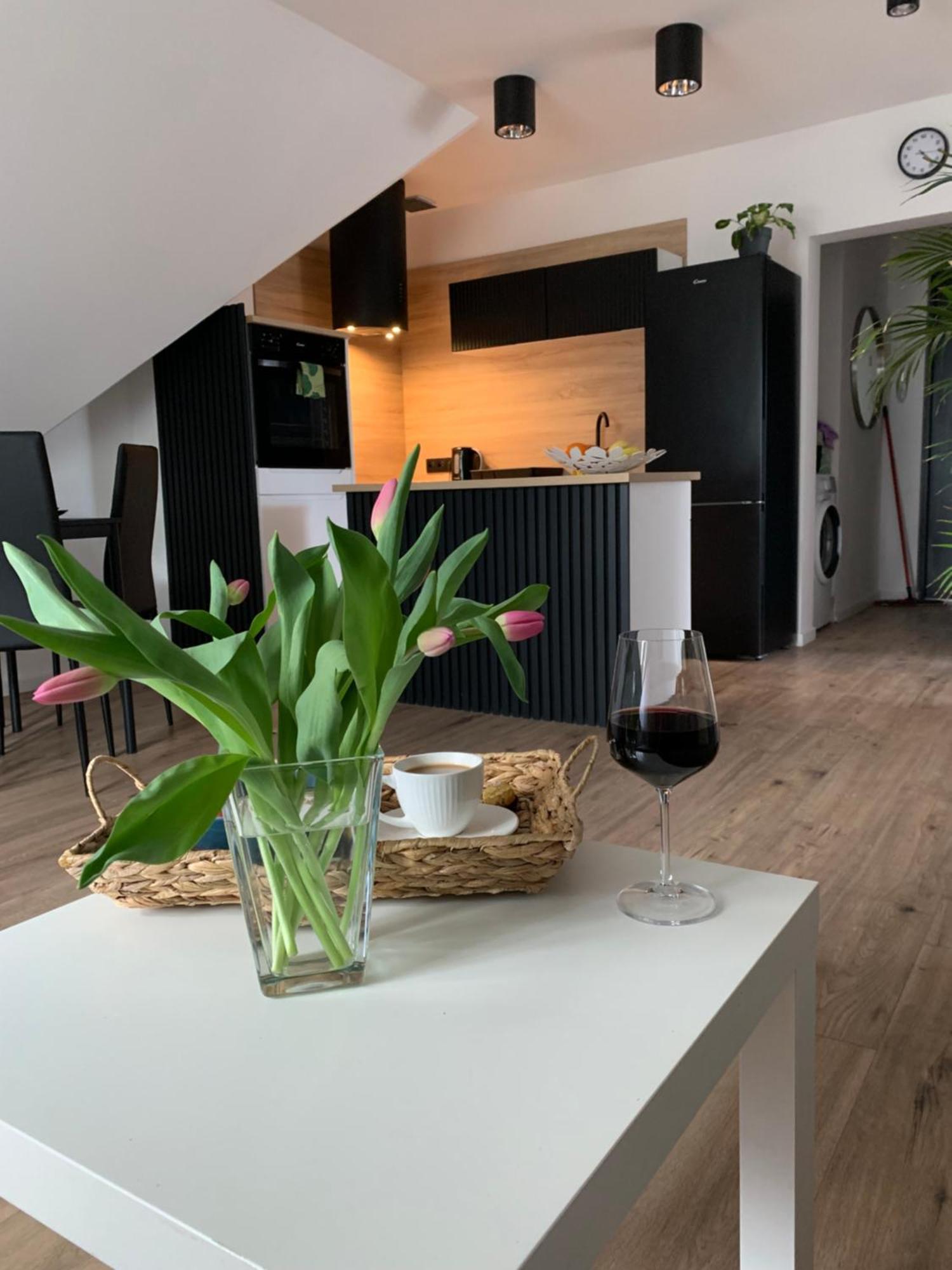 Apartment Astor - Sloneczny Bad Salzbrunn