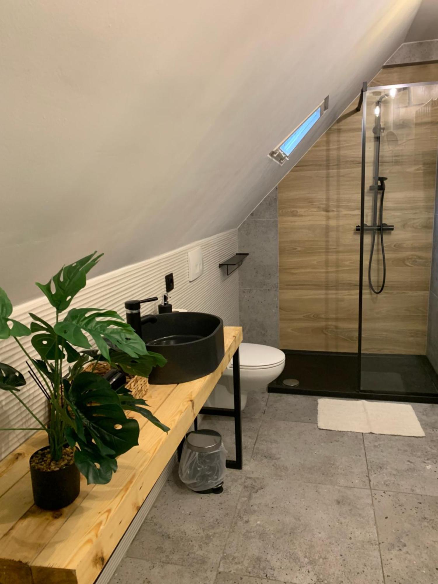 Apartment Astor - Sloneczny Bad Salzbrunn